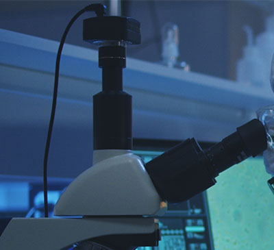 Infection Surveillance Solutions Market by Solution and Geography - Forecast and Analysis 2020-2024